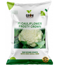 Cauliflower F1 Frosty Crown 5 grams
